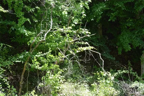 Tbd Wooded Mountain Trail Mars Hill NC 28754