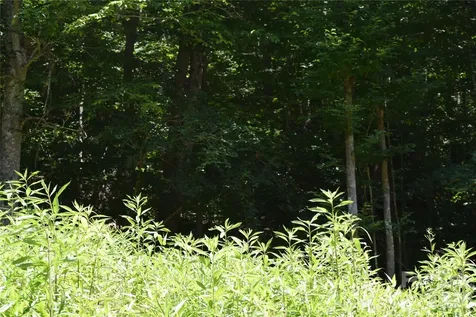 Tbd Wooded Mountain Trail Mars Hill NC 28754