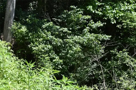 Tbd Wooded Mountain Trail Mars Hill NC 28754