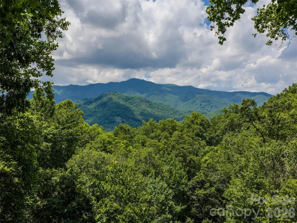 233 Rocky Face Drive Canton NC 28716