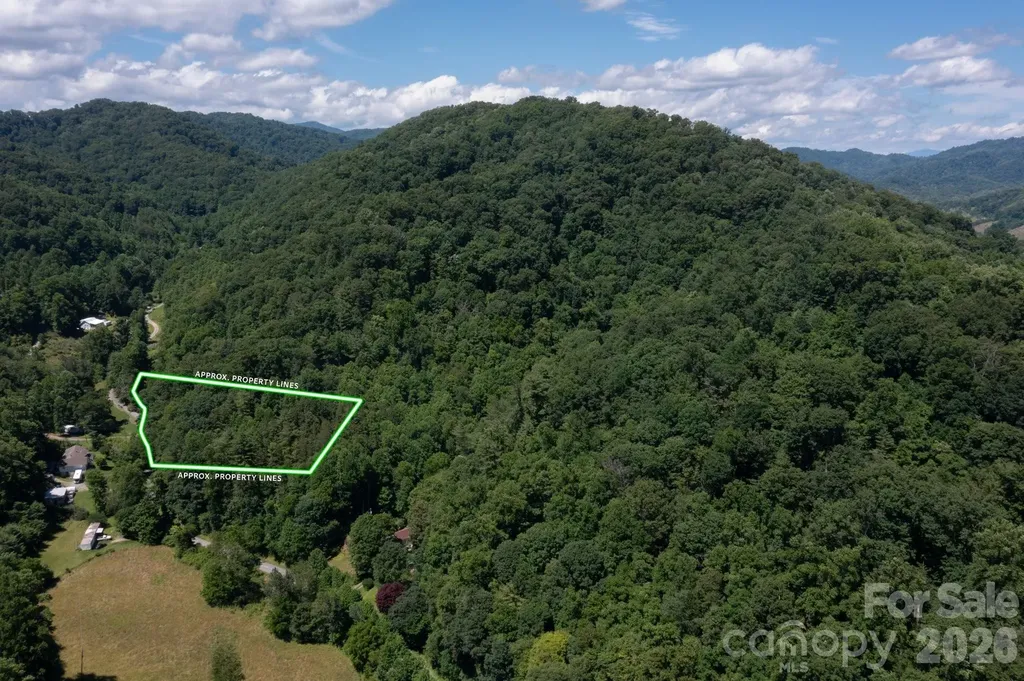 Tbd Wooded Mountain Trail Mars Hill NC 28754