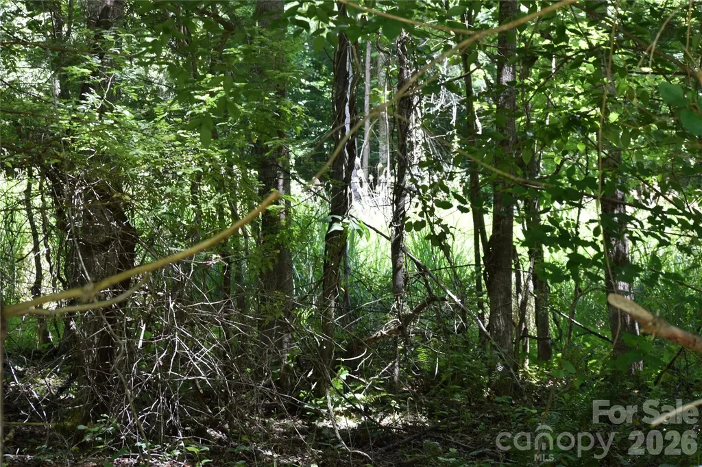 Tbd Wooded Mountain Trail Mars Hill NC 28754