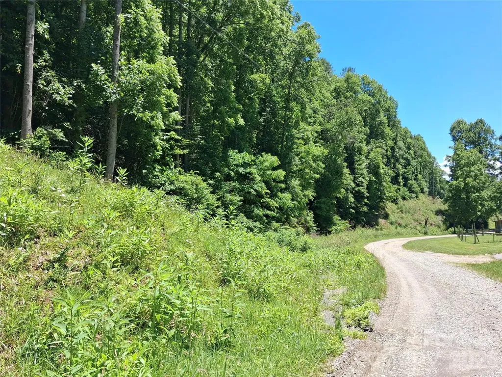 Tbd Wooded Mountain Trail Mars Hill NC 28754
