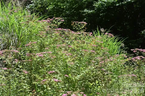 Tbd Wooded Mountain Trail Mars Hill NC 28754