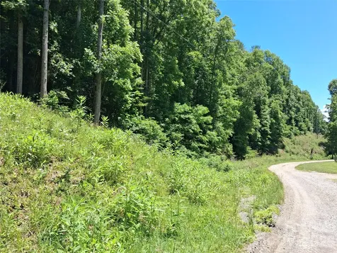 Tbd Wooded Mountain Trail Mars Hill NC 28754
