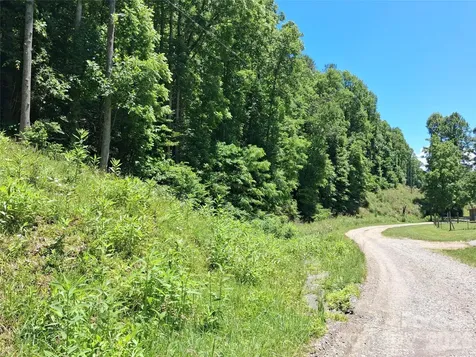 Tbd Wooded Mountain Trail Mars Hill NC 28754