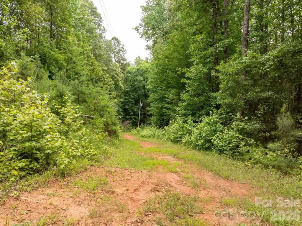 1350 Lee Cudd Road Rutherfordton NC 28139