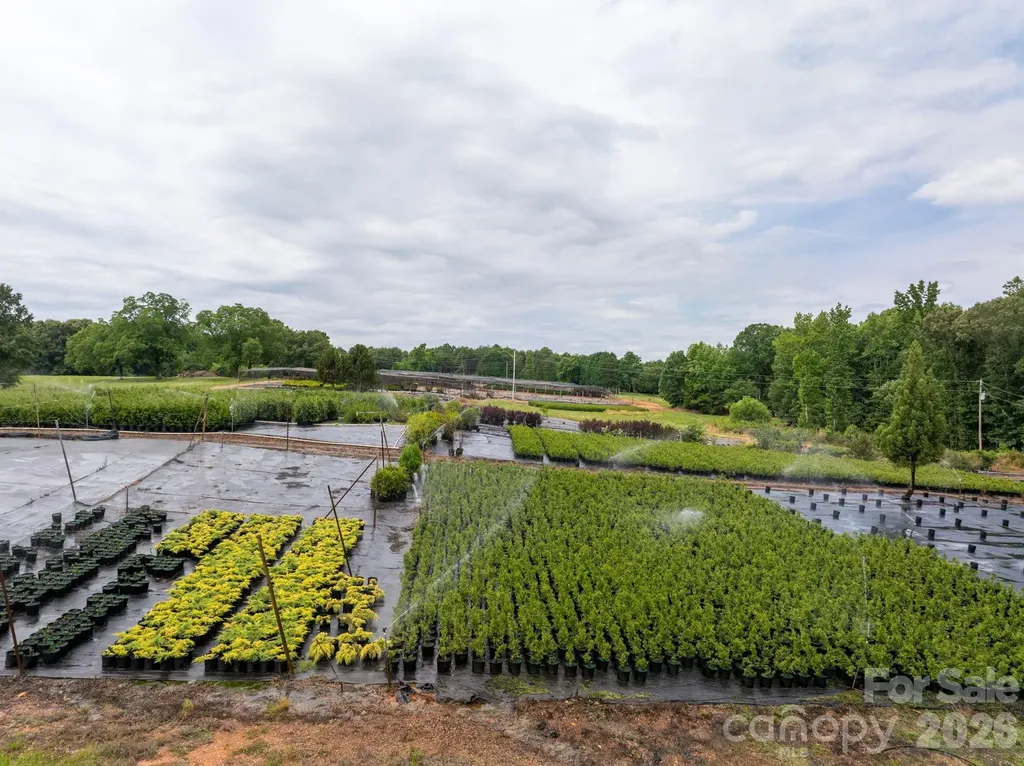 1350 Lee Cudd Road Rutherfordton NC 28139