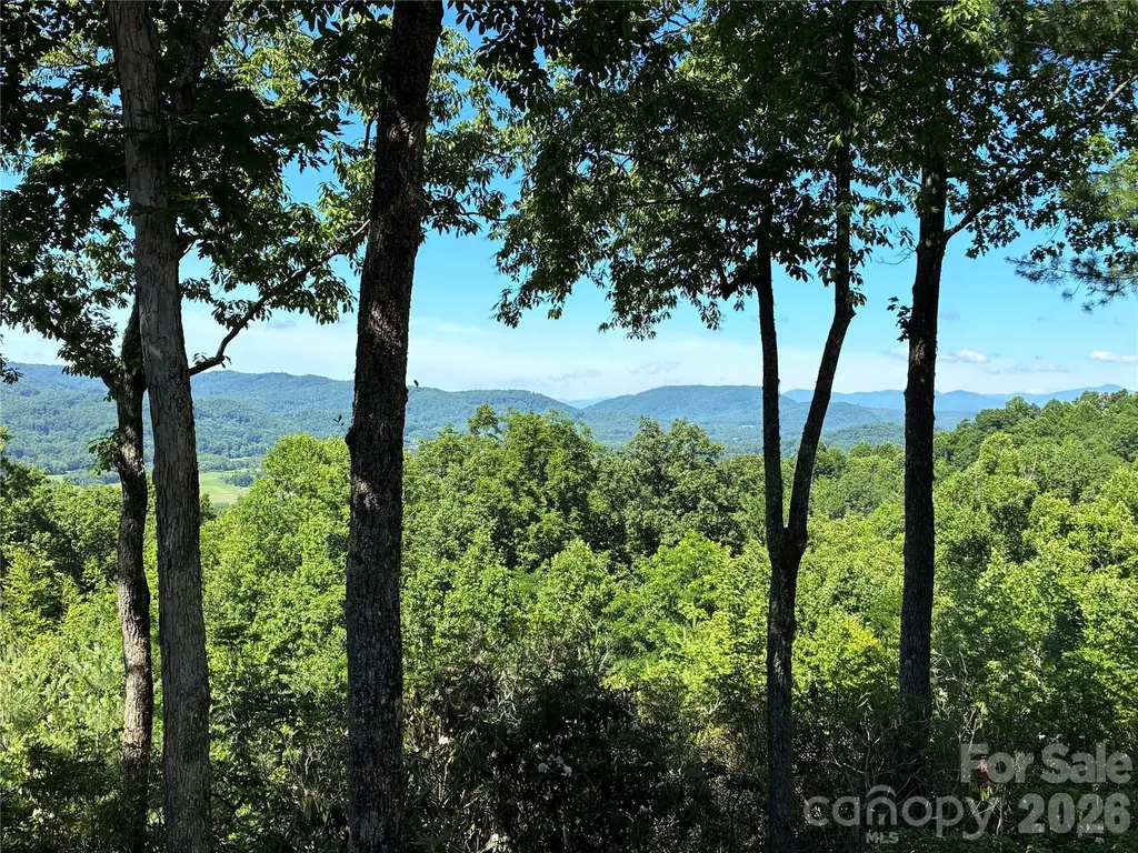 48 S Mountain Morning Lane Hendersonville NC 28739