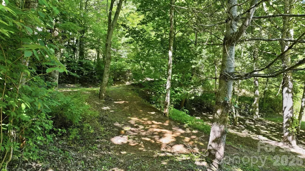 Tbd Dark Ridge Road Sylva NC 28779