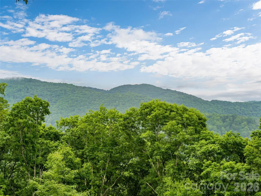 243 Pioneer Ridge Road Canton NC 28716
