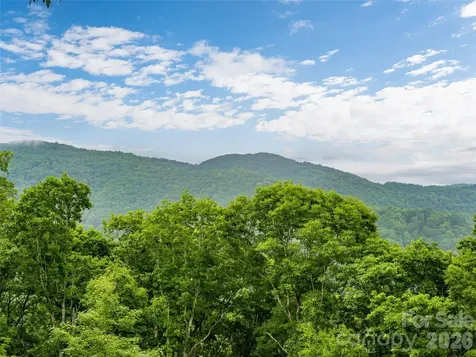 243 Pioneer Ridge Road Canton NC 28716