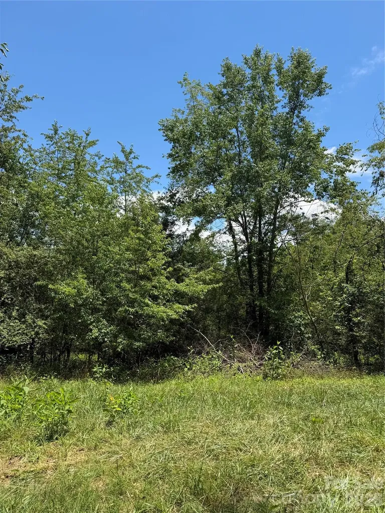 295 Old Mill Road Lake Lure NC 28746