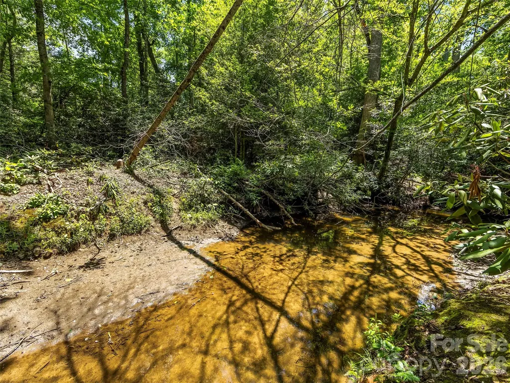 742 Hiawassee Avenue Black Mountain NC 28711