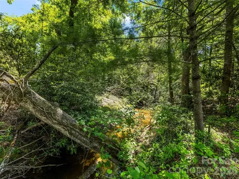 742 Hiawassee Avenue Black Mountain NC 28711