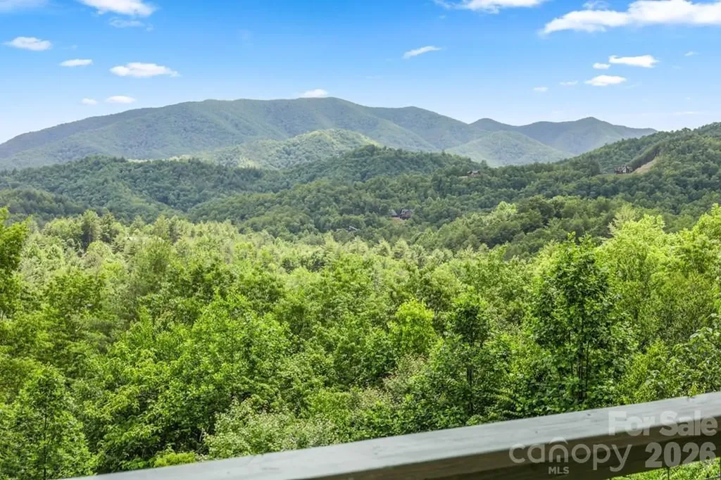 1188 Tobacco Branch Road Almond NC 28702