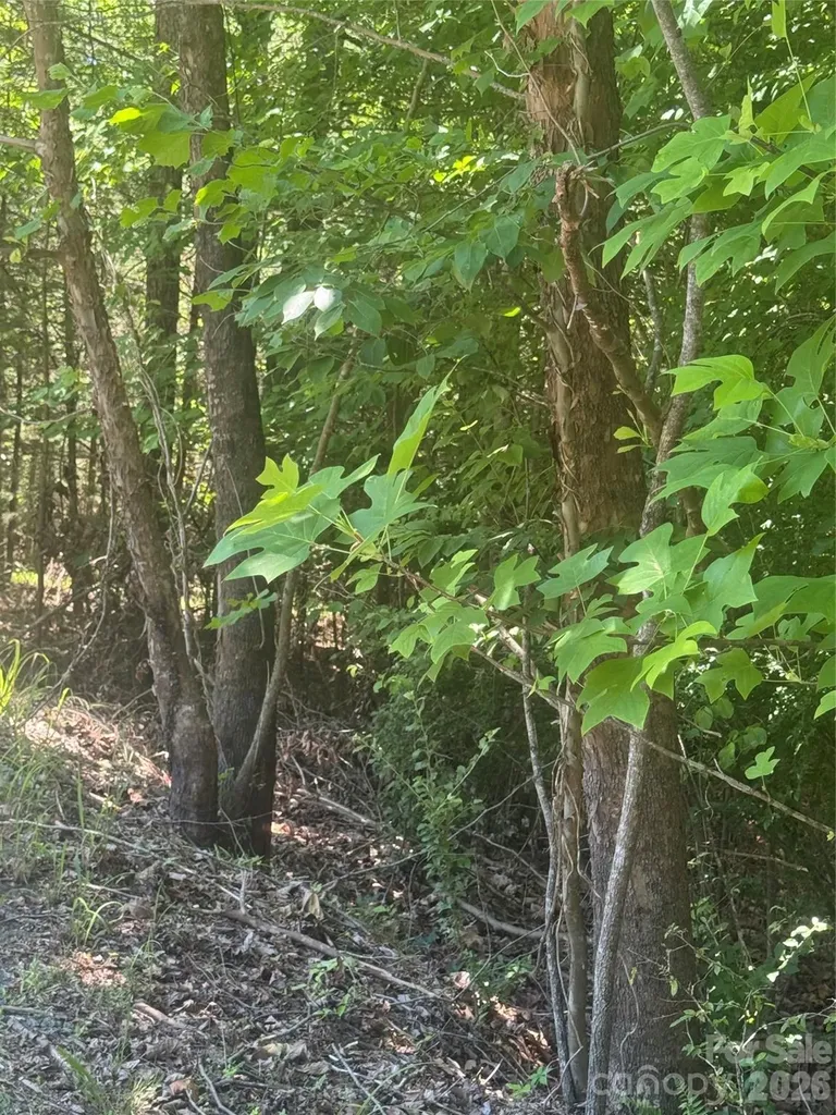 00 Desota Ridge Rutherfordton NC 28139