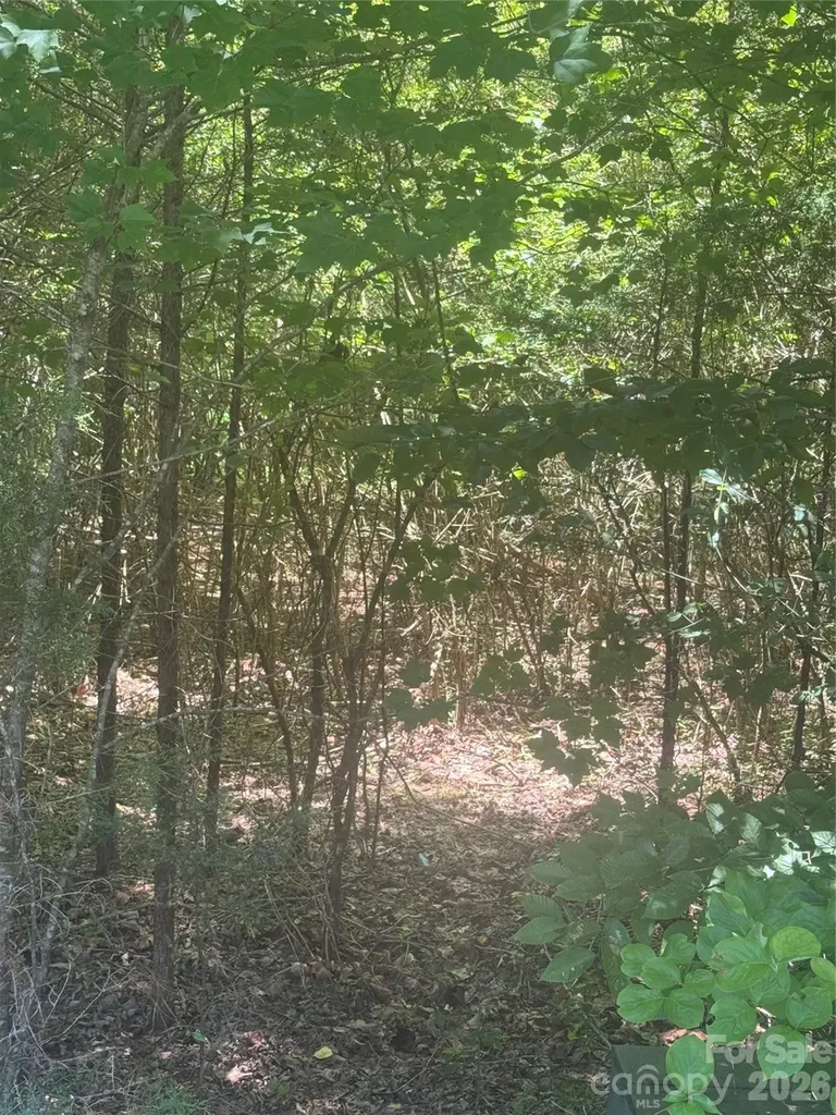 00 Desota Ridge Rutherfordton NC 28139