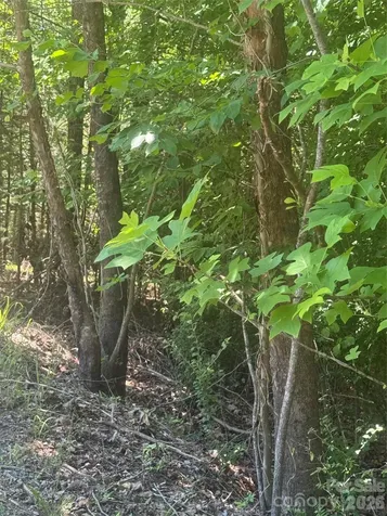00 Desota Ridge Rutherfordton NC 28139