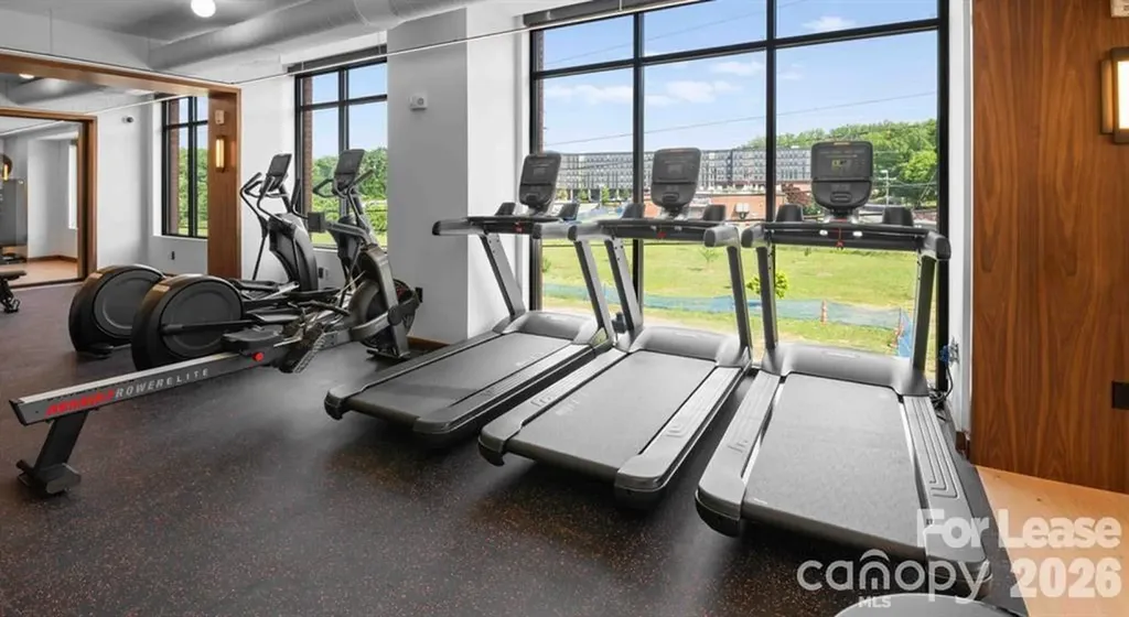 300 E 36th Street Charlotte NC 28206