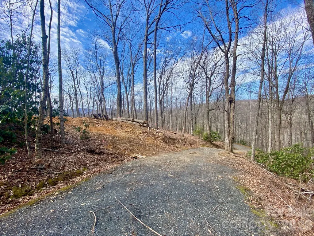 Tbd Old Chestnut Mountain Road Newland NC 28657