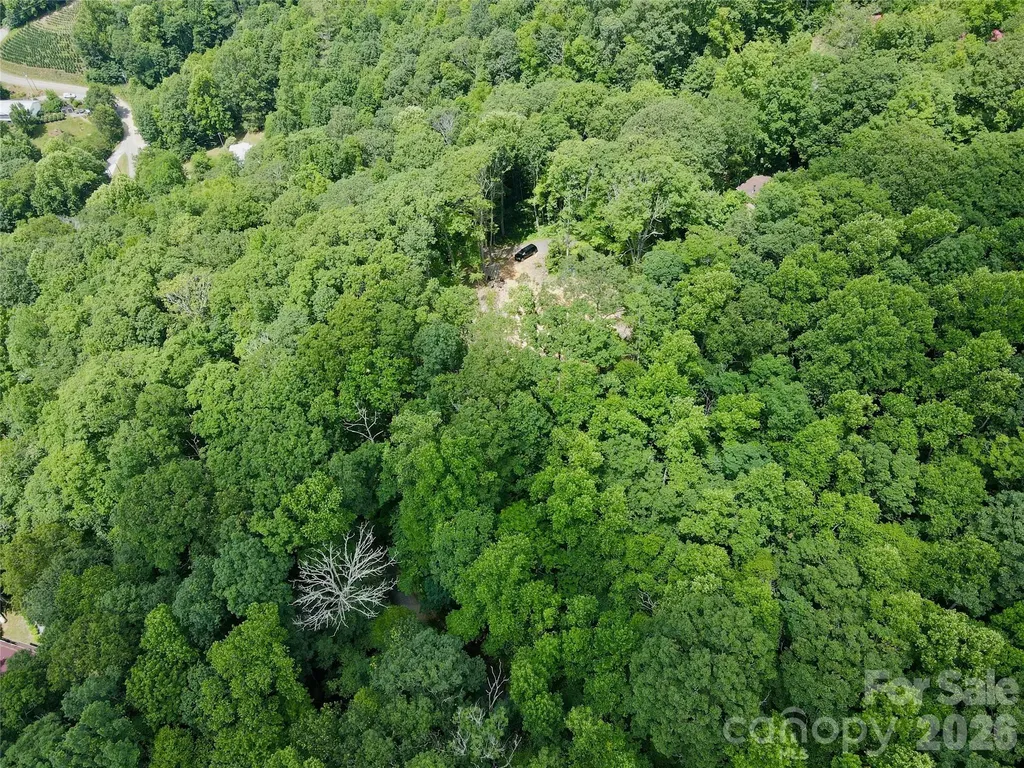 Tbd Old Chestnut Mountain Road Newland NC 28657