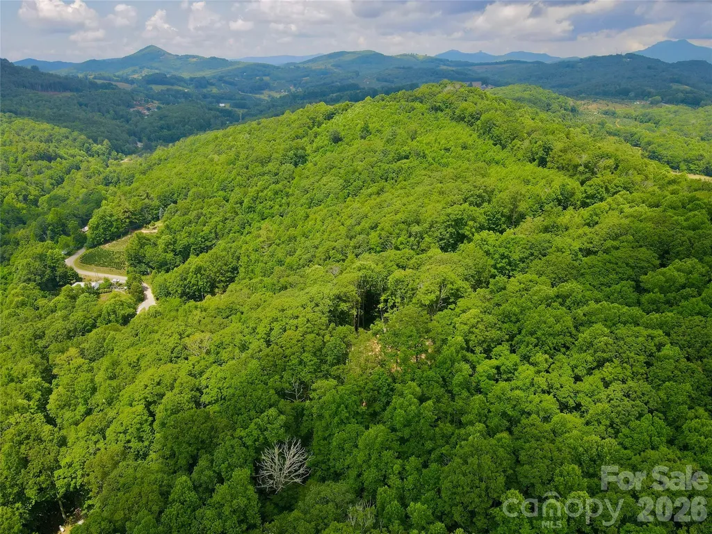 Tbd Old Chestnut Mountain Road Newland NC 28657