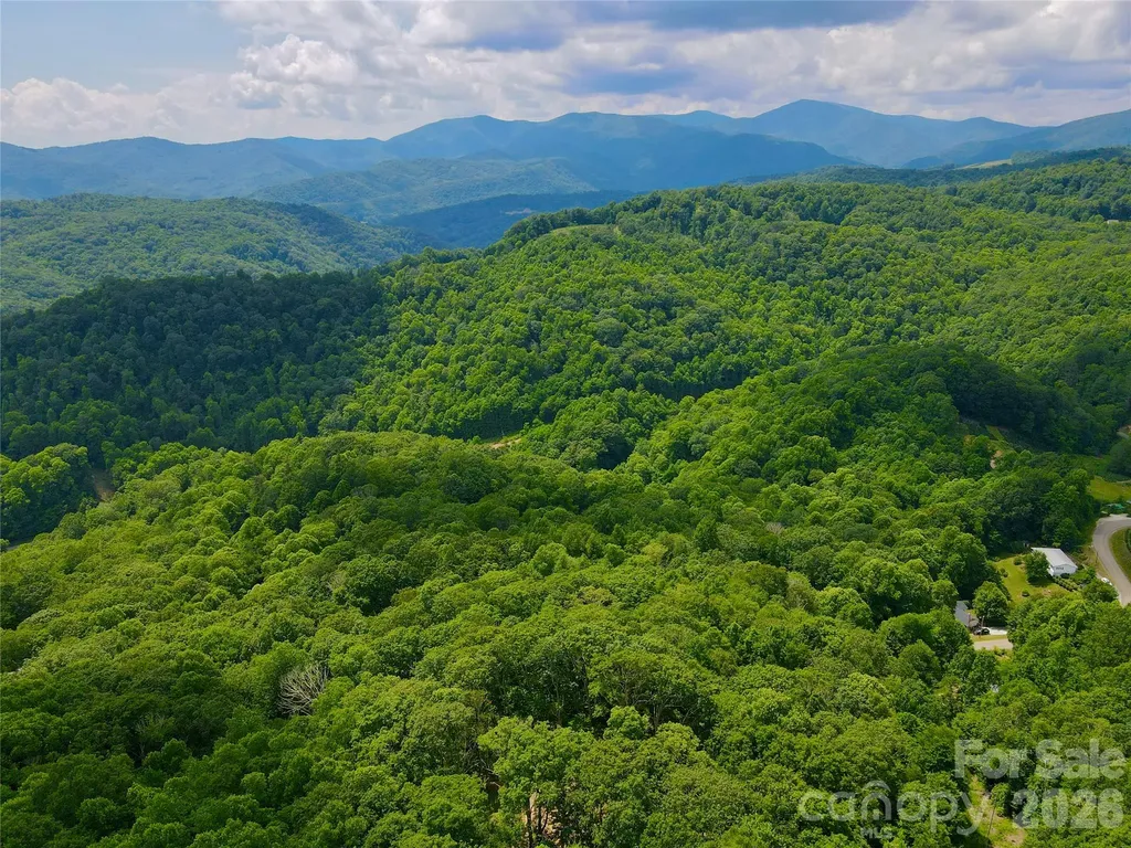 Tbd Old Chestnut Mountain Road Newland NC 28657