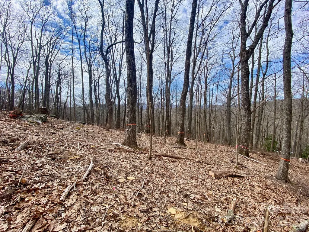 Tbd Old Chestnut Mountain Road Newland NC 28657
