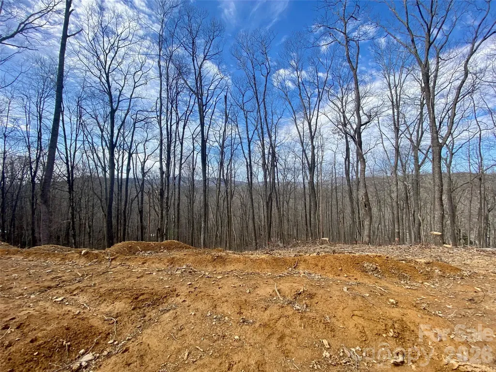 Tbd Old Chestnut Mountain Road Newland NC 28657