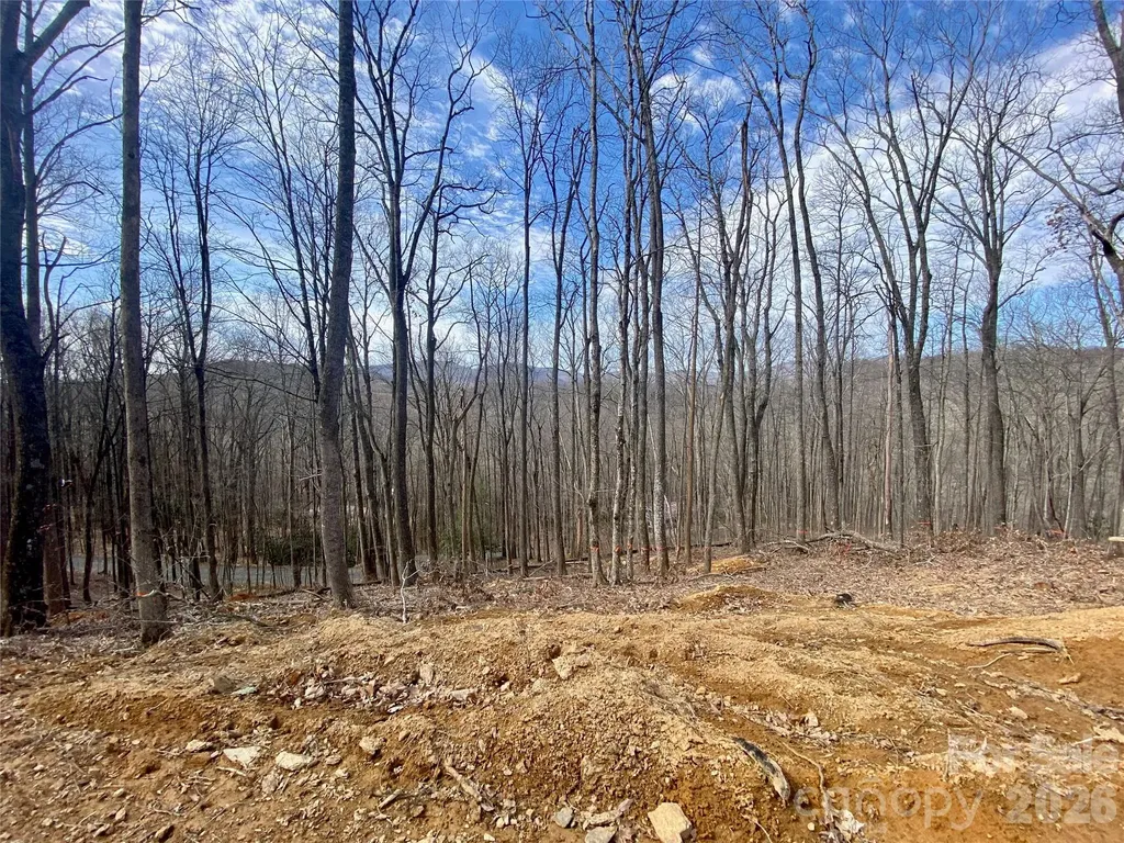 Tbd Old Chestnut Mountain Road Newland NC 28657