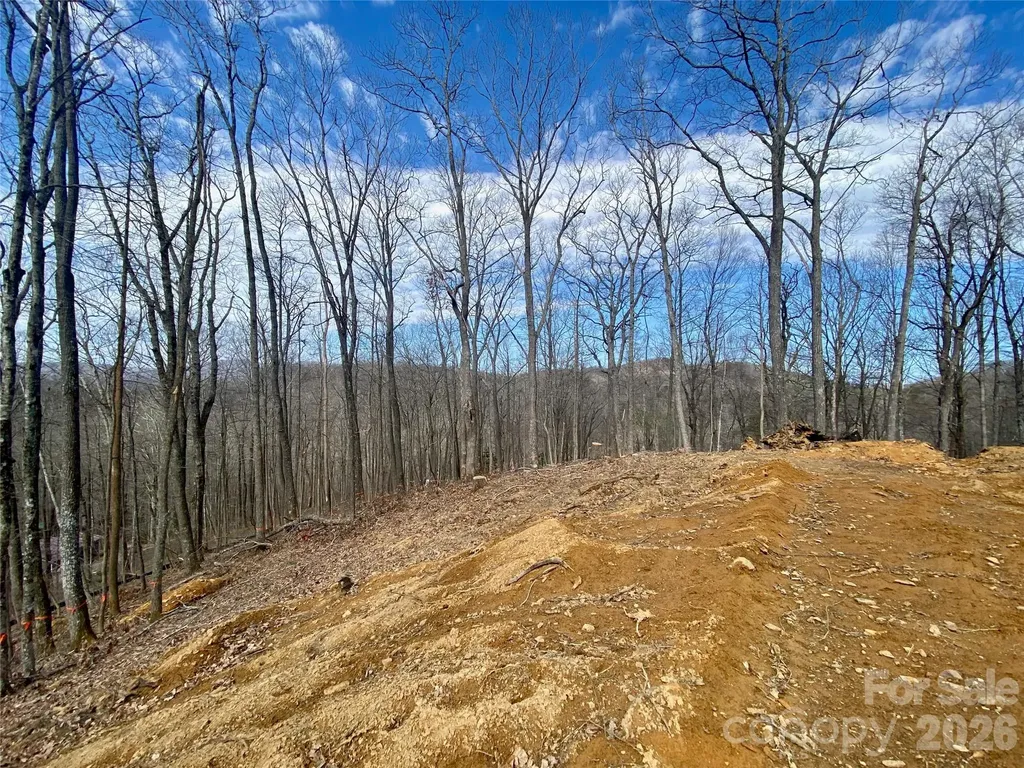 Tbd Old Chestnut Mountain Road Newland NC 28657