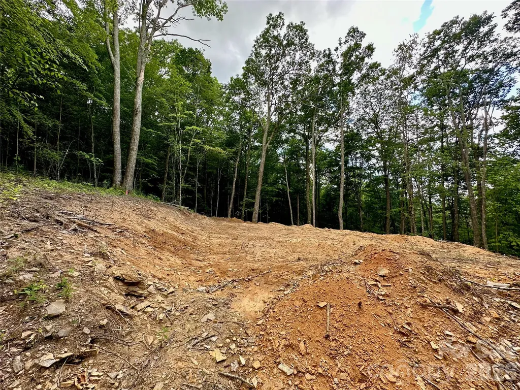 Tbd Old Chestnut Mountain Road Newland NC 28657