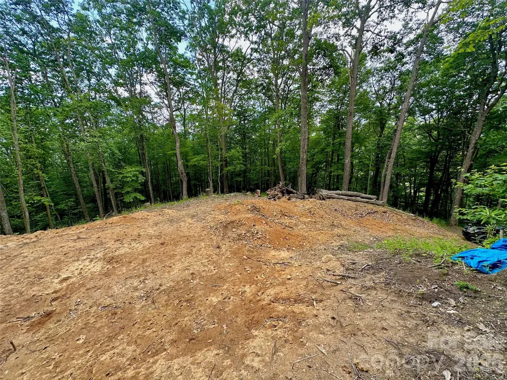 Tbd Old Chestnut Mountain Road Newland NC 28657