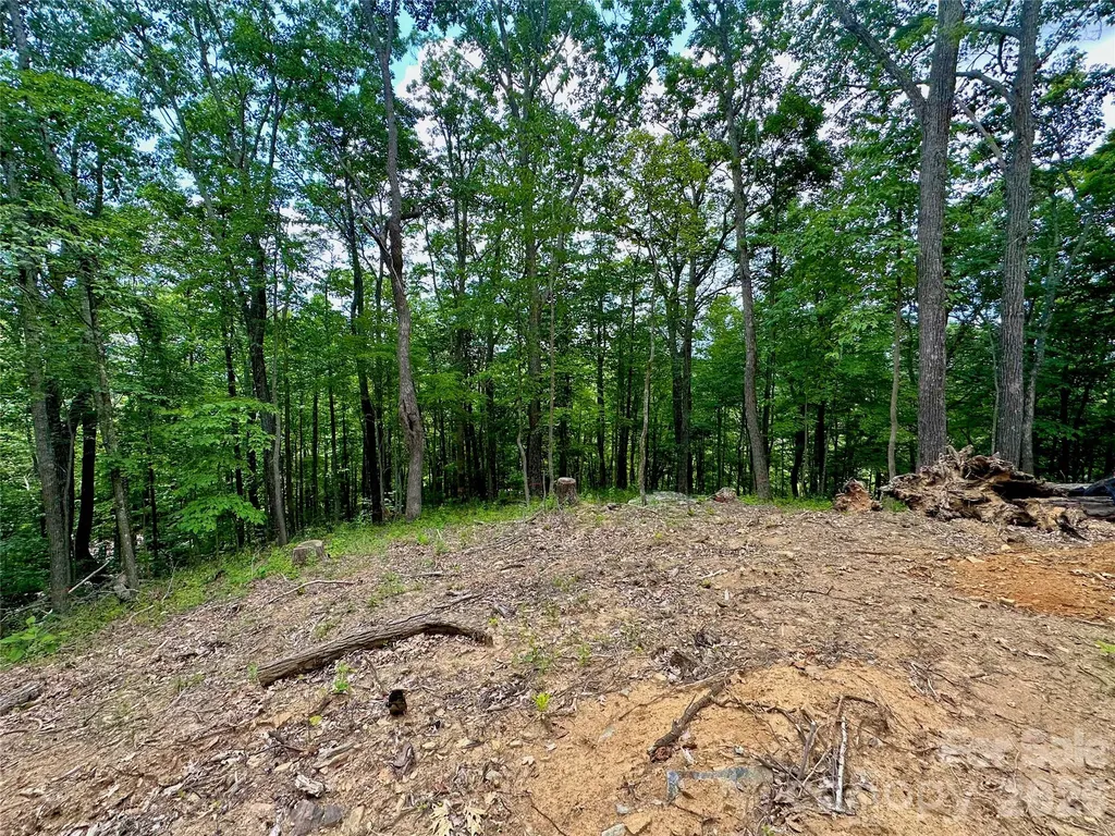 Tbd Old Chestnut Mountain Road Newland NC 28657