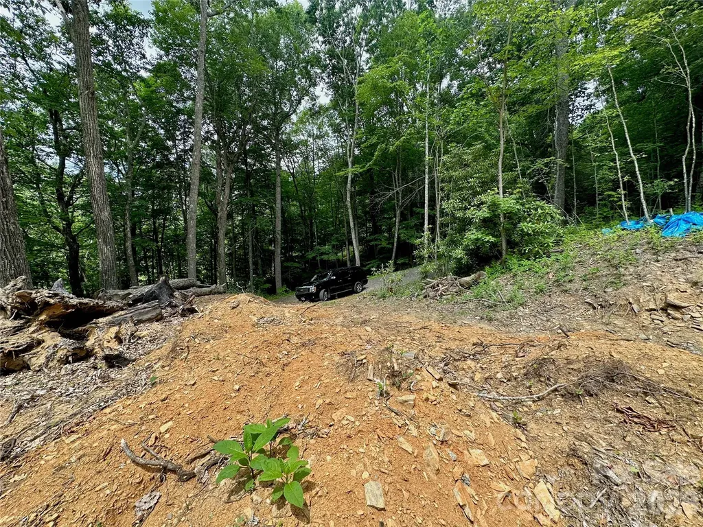 Tbd Old Chestnut Mountain Road Newland NC 28657