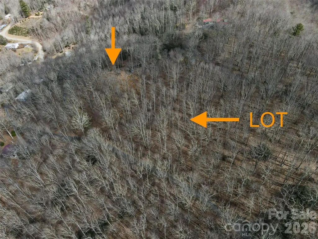Tbd Old Chestnut Mountain Road Newland NC 28657