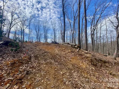 Tbd Old Chestnut Mountain Road Newland NC 28657