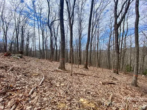 Tbd Old Chestnut Mountain Road Newland NC 28657