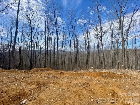Tbd Old Chestnut Mountain Road Newland NC 28657