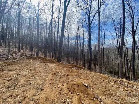 Tbd Old Chestnut Mountain Road Newland NC 28657