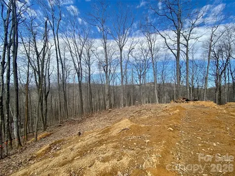 Tbd Old Chestnut Mountain Road Newland NC 28657