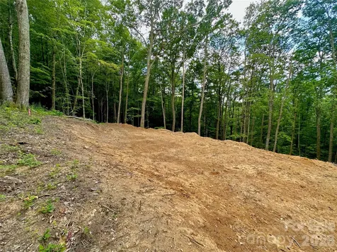 Tbd Old Chestnut Mountain Road Newland NC 28657