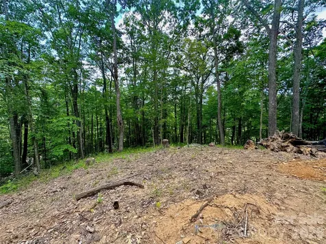 Tbd Old Chestnut Mountain Road Newland NC 28657