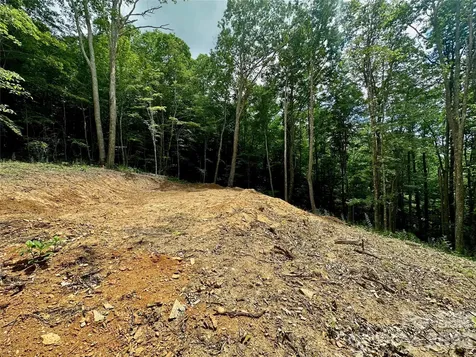 Tbd Old Chestnut Mountain Road Newland NC 28657