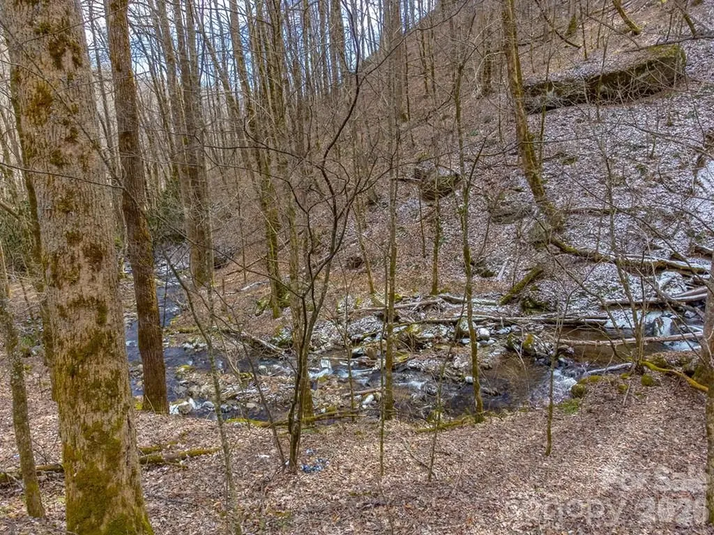 1668 Buff Creek Road Sylva NC 28779