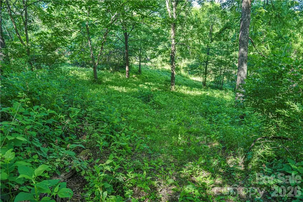 415 Weaverville Road Asheville NC 28804