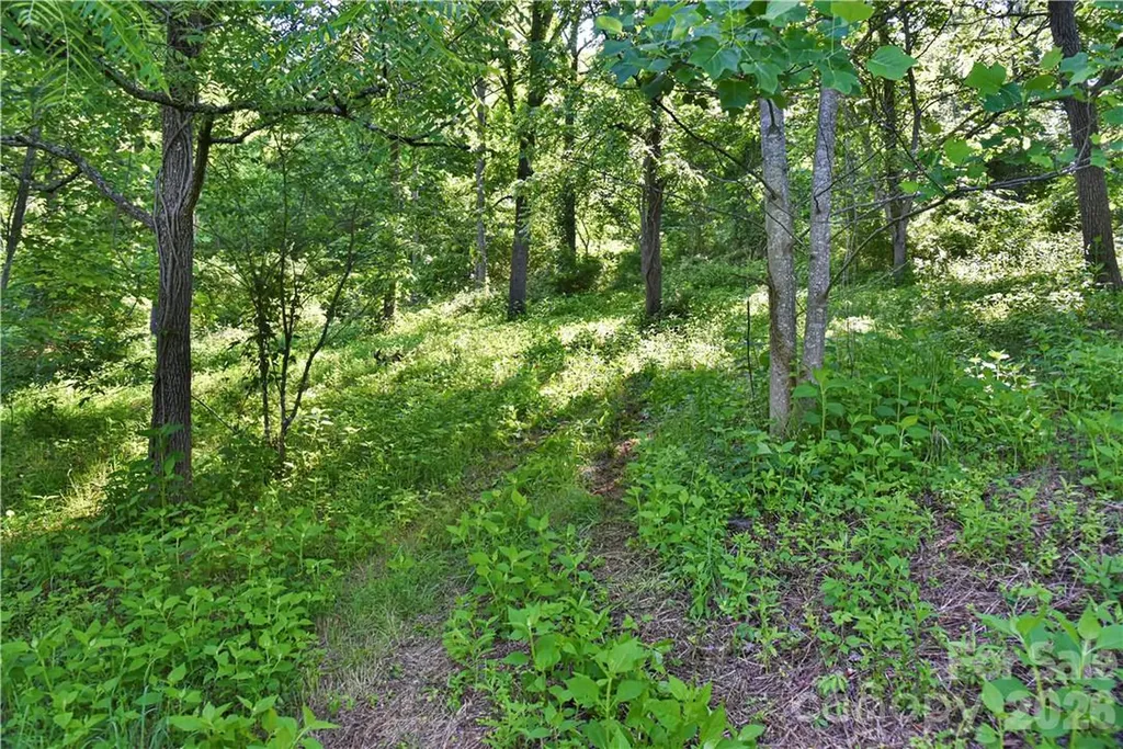 415 Weaverville Road Asheville NC 28804
