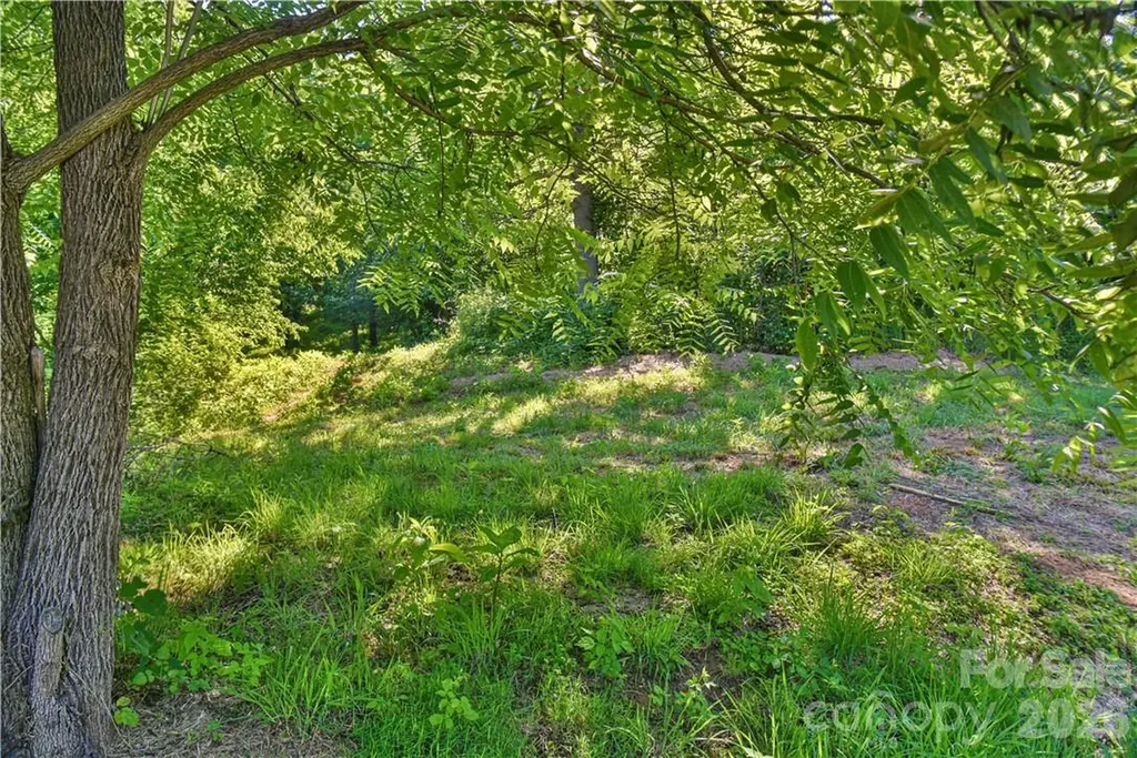 415 Weaverville Road Asheville NC 28804