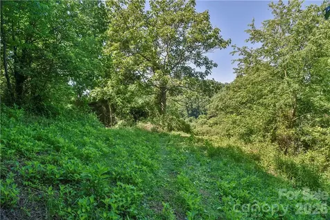 415 Weaverville Road Asheville NC 28804